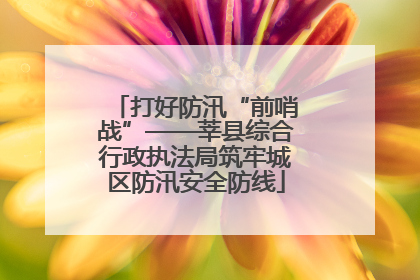打好防汛“前哨战”——莘县综合行政执法局筑牢城区防汛安全防线