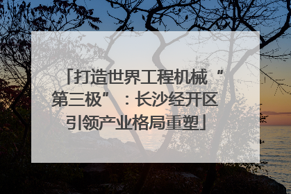 打造世界工程机械“第三极”：长沙经开区引领产业格局重塑