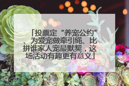 投票定“养宠公约”、为爱宠做牵引绳、比拼谁家人宠最默契，这场活动有趣更有意义