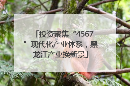 投资聚焦“4567”现代化产业体系，黑龙江产业换新景