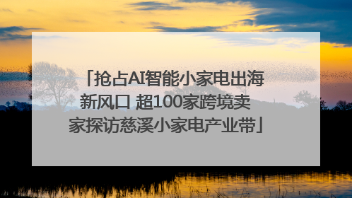 抢占AI智能小家电出海新风口 超100家跨境卖家探访慈溪小家电产业带