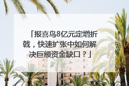 报喜鸟8亿元定增折戟，快速扩张中如何解决巨额资金缺口？