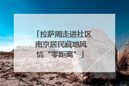 拉萨周走进社区 南京居民藏地风情“零距离”