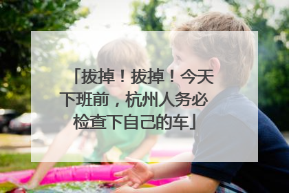 拔掉！拔掉！今天下班前，杭州人务必检查下自己的车