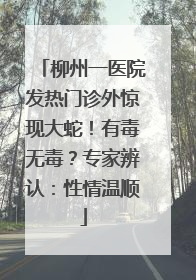 柳州一医院发热门诊外惊现大蛇！有毒无毒？专家辨认：性情温顺