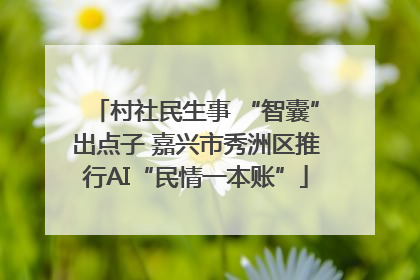 村社民生事 “智囊”出点子 嘉兴市秀洲区推行AI“民情一本账”