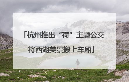 杭州推出“荷”主题公交 将西湖美景搬上车厢