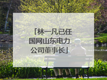 林一凡已任国网山东电力公司董事长