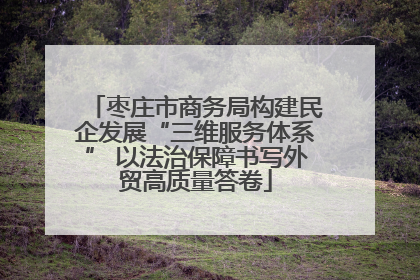 枣庄市商务局构建民企发展“三维服务体系” 以法治保障书写外贸高质量答卷