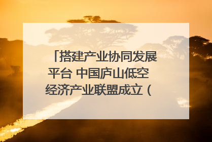 搭建产业协同发展平台 中国庐山低空经济产业联盟成立（组图｜视频）