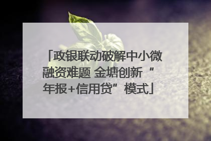 政银联动破解中小微融资难题 金塘创新“年报+信用贷”模式