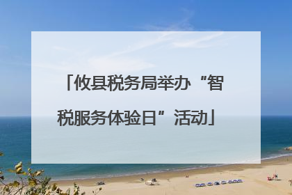 攸县税务局举办“智税服务体验日”活动