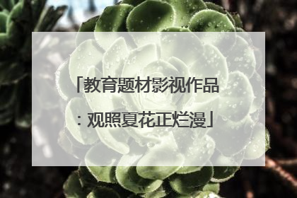 教育题材影视作品：观照夏花正烂漫