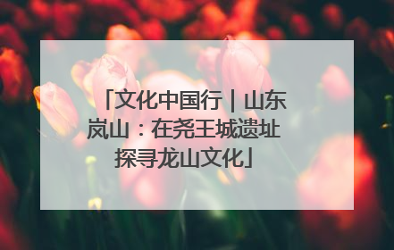 文化中国行｜山东岚山：在尧王城遗址探寻龙山文化