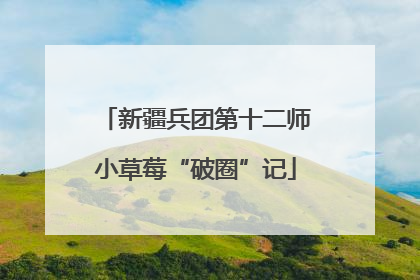 新疆兵团第十二师小草莓“破圈”记