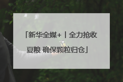 新华全媒+丨全力抢收夏粮 确保颗粒归仓