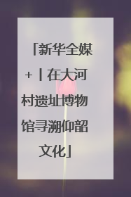 新华全媒+丨在大河村遗址博物馆寻溯仰韶文化