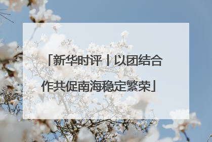 新华时评丨以团结合作共促南海稳定繁荣