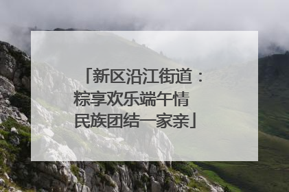新区沿江街道：粽享欢乐端午情 民族团结一家亲