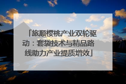 旅顺樱桃产业双轮驱动：套袋技术与精品路线助力产业提质增效