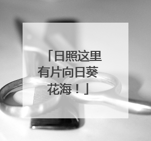 日照这里有片向日葵花海！
