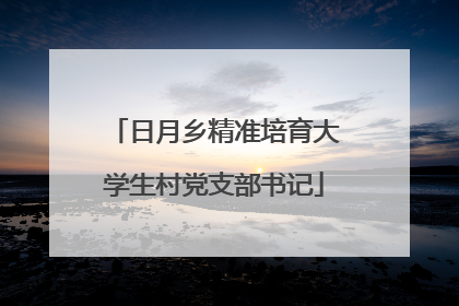 日月乡精准培育大学生村党支部书记