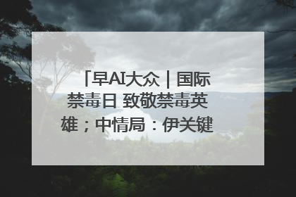 早AI大众｜国际禁毒日 致敬禁毒英雄；中情局：伊关键核设施被摧毁