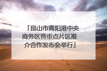 昆山市青阳港中央商务区暨重点片区推介合作发布会举行