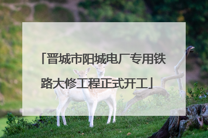 晋城市阳城电厂专用铁路大修工程正式开工
