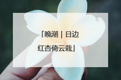 晚潮｜日边红杏倚云栽