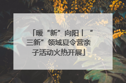 暖“新”向阳丨“三新”领域夏令营亲子活动火热开展