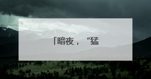 暗夜，“猛龙”出击！