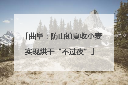 曲阜：防山镇夏收小麦实现烘干“不过夜”