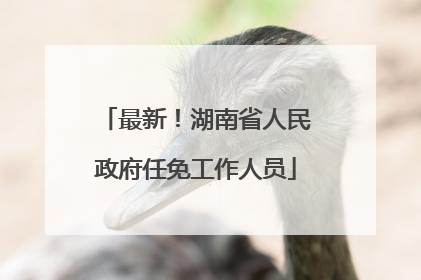 最新！湖南省人民政府任免工作人员