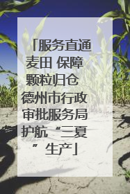 服务直通麦田 保障颗粒归仓 德州市行政审批服务局护航“三夏”生产