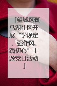 望城区斑马湖社区开展“学规定、强作风、践初心”主题党日活动