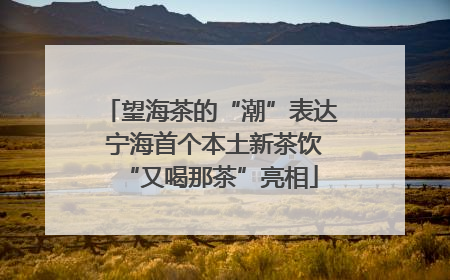 望海茶的“潮”表达 宁海首个本土新茶饮“又喝那茶”亮相