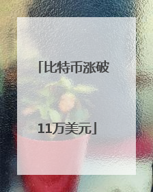 比特币涨破11万美元