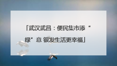 武汉武昌：便民集市添“绿”意 银发生活更幸福
