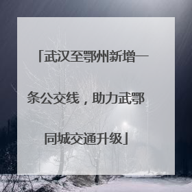 武汉至鄂州新增一条公交线，助力武鄂同城交通升级