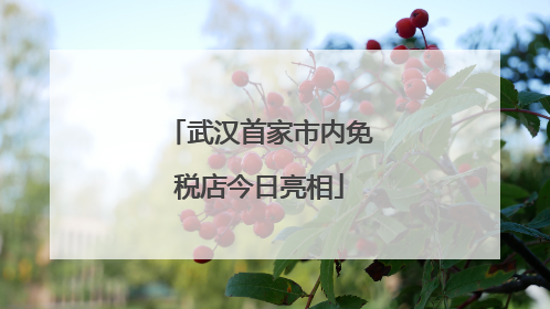 武汉首家市内免税店今日亮相