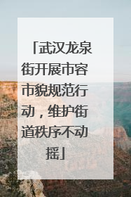 武汉龙泉街开展市容市貌规范行动，维护街道秩序不动摇