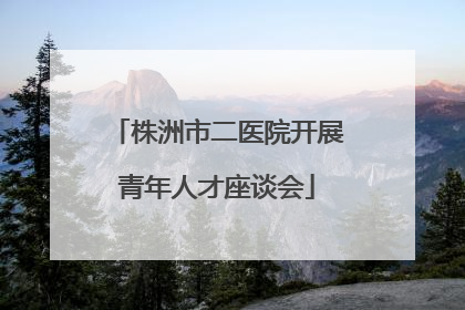株洲市二医院开展青年人才座谈会