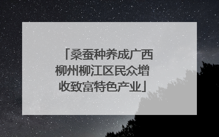 桑蚕种养成广西柳州柳江区民众增收致富特色产业