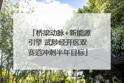 桥梁动脉+新能源引擎 武陟经开区双赛道冲刺半年目标