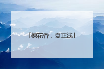楝花香，夏正浅