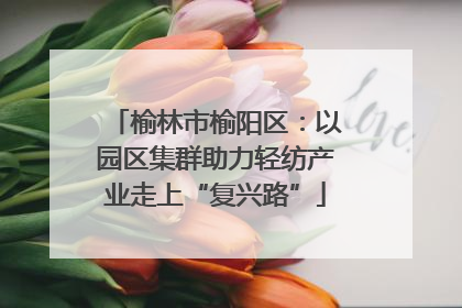 榆林市榆阳区：以园区集群助力轻纺产业走上“复兴路”