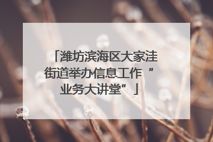 潍坊滨海区大家洼街道举办信息工作“业务大讲堂”