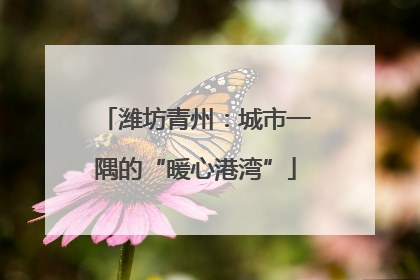 潍坊青州：城市一隅的“暖心港湾”