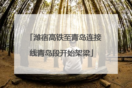 潍宿高铁至青岛连接线青岛段开始架梁
